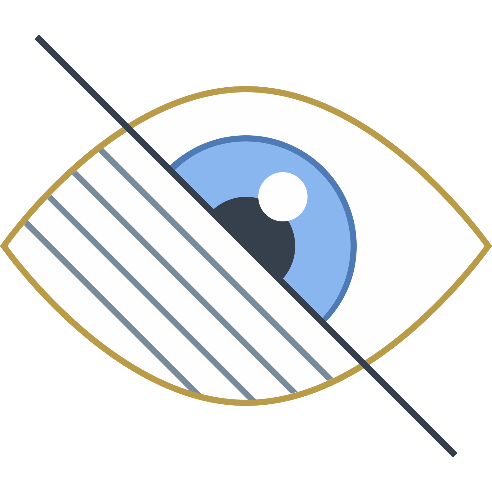 Vision Icon